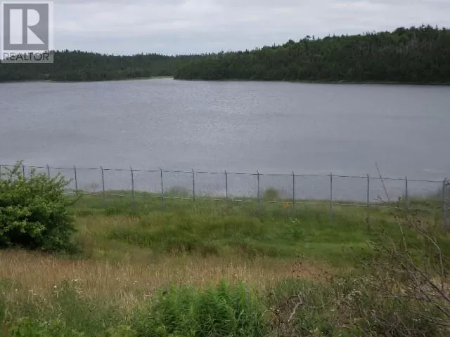Lot 1 Junction Pond Unit#lot 1, WHITBOURNE, Newfoundland & Labrador A0B 3K0