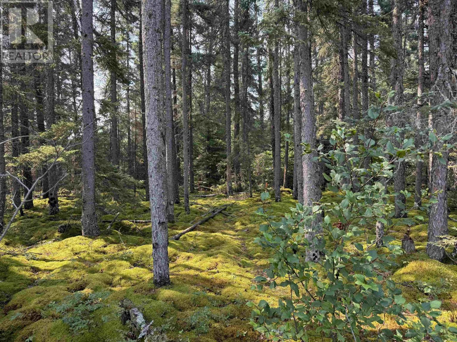 Lot 1 Kinger Road, Kenora, Ontario P9N 0E4