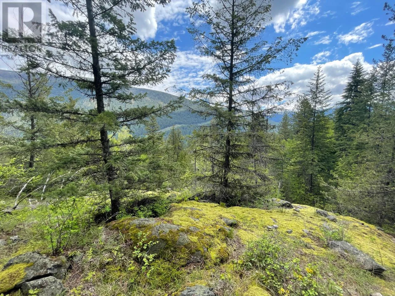 Other for rent: Lot 1 Langill Road, Krestova, British Columbia V0G 1H0