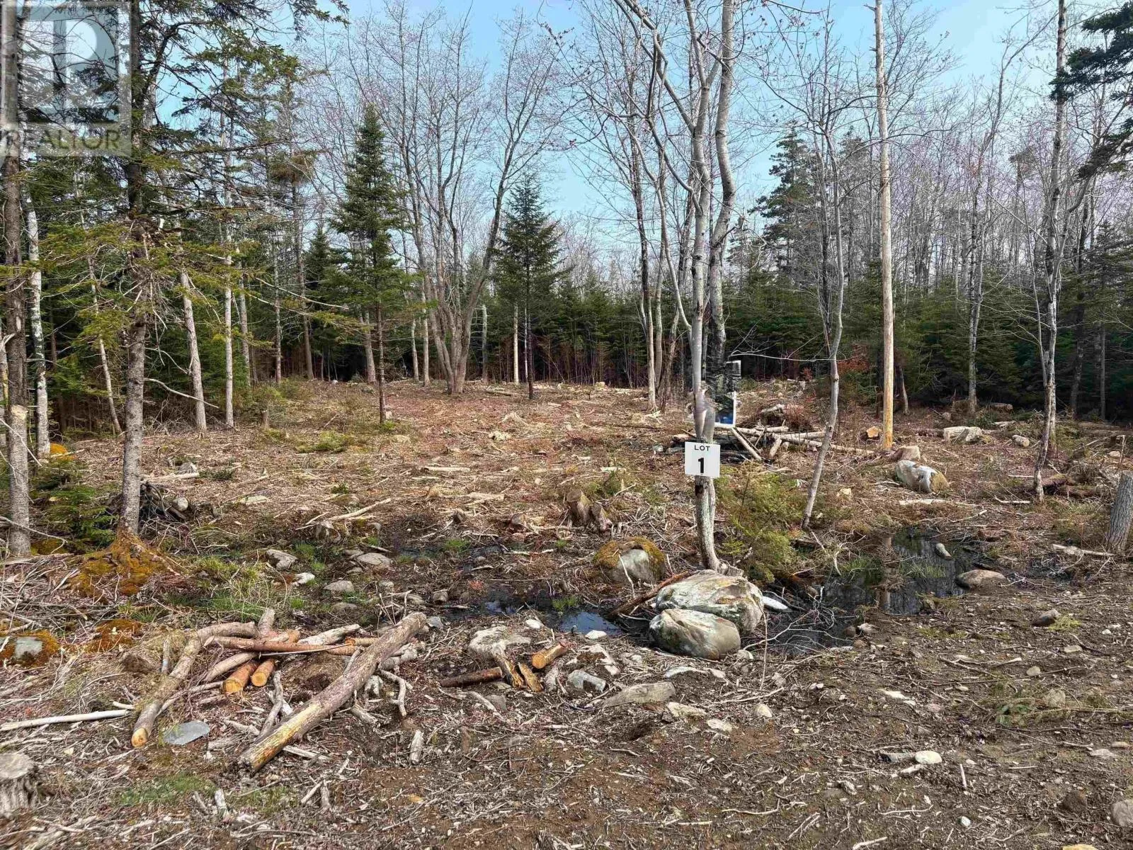 Lot 1 Larry Seldon Lane, Western Head, Nova Scotia B0T 1K0