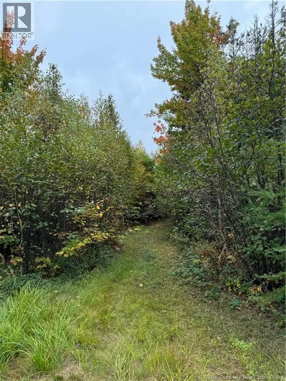 Lot 1 Wegesegum Road, Long Creek, New Brunswick E4A 2R7