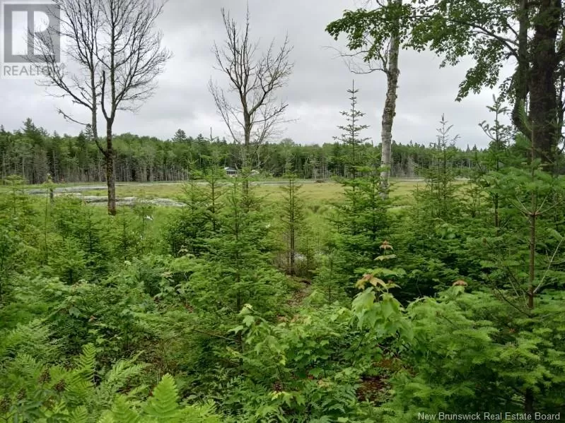 Lot 10 Richibuto Road, Noonan, New Brunswick E4A 7H4