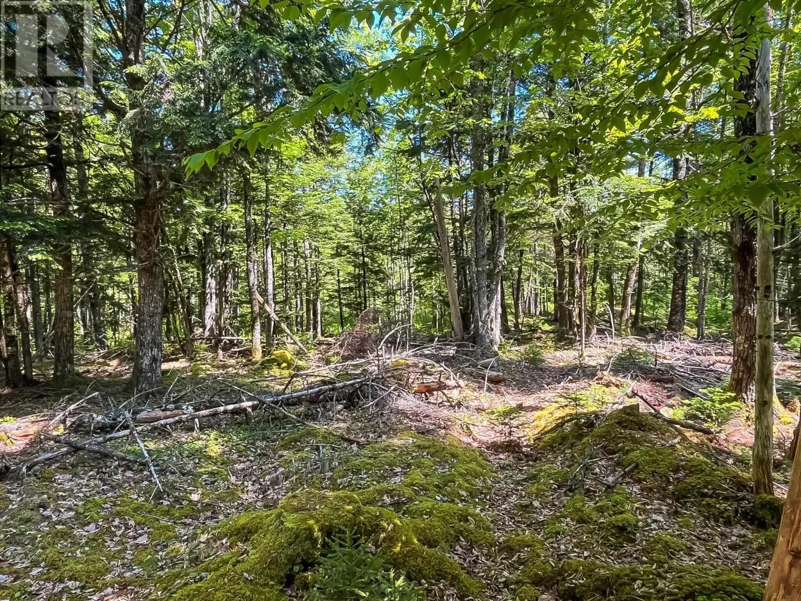 Lot 1000-3 Conquerall Road, Conquerall Bank, Nova Scotia B0R 1G0