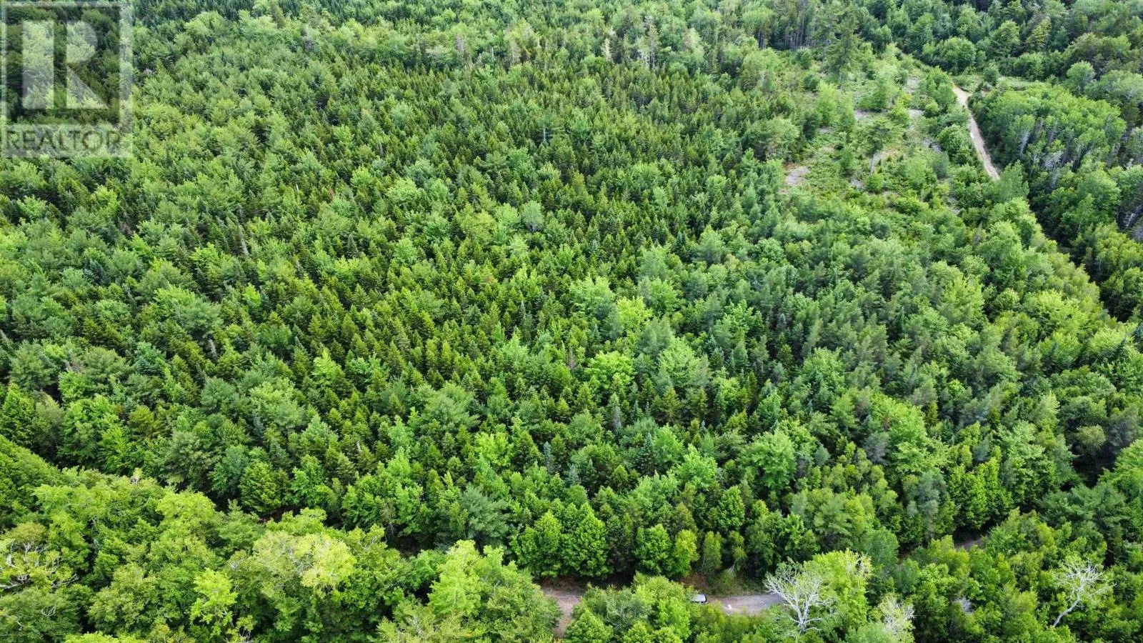 Lot 102 Arenburg Road, Buckfield, Nova Scotia B4V 8M5