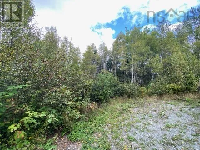 Lot 104 Highway, Linacy, Nova Scotia B2H 5C4