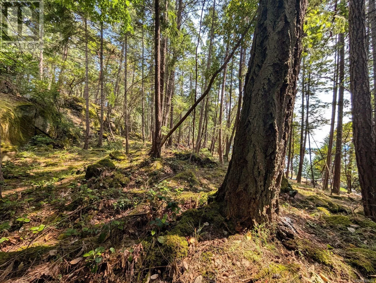 Lot 108 Herring Hts, Mudge Island, British Columbia V9X 1P7