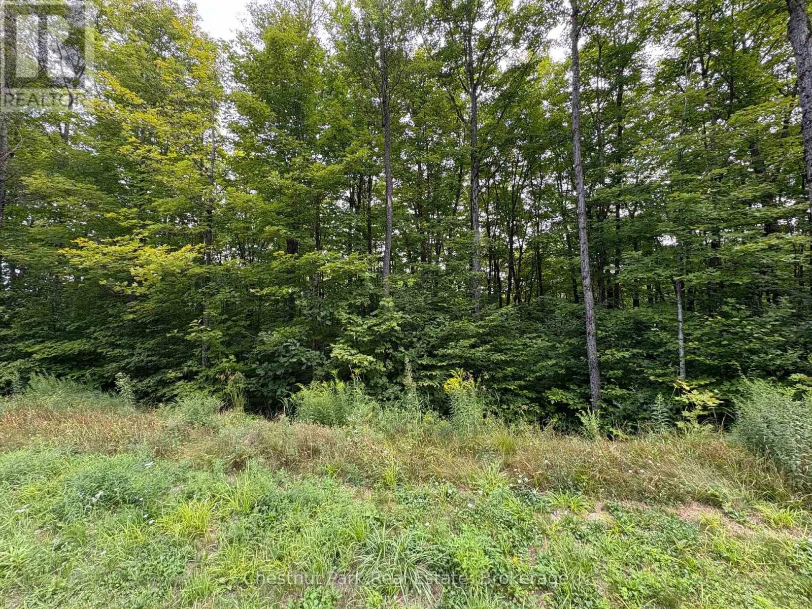 Lot 11 Millie's Way, Armour, Ontario P0A 1C0