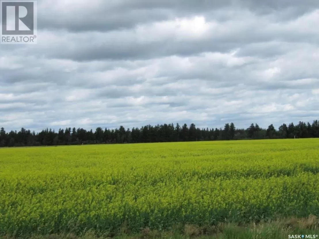 Unknown for rent: Lot 11 Parcel 3.41 Acres, Nipawin Rm No. 487, Saskatchewan S0E 1E0