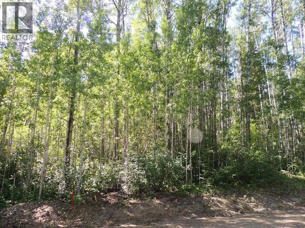 Lot #11 Wapiti River Sw-21-69-10-w6, Rural Grande Prairie No. 1, County of, Alberta T0H 1J0
