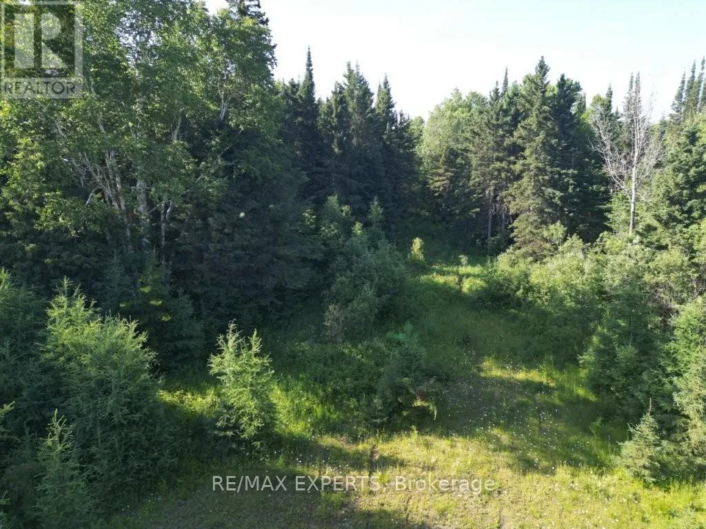 Lot 12 Con 5, Dorion, Ontario P0T 1K0