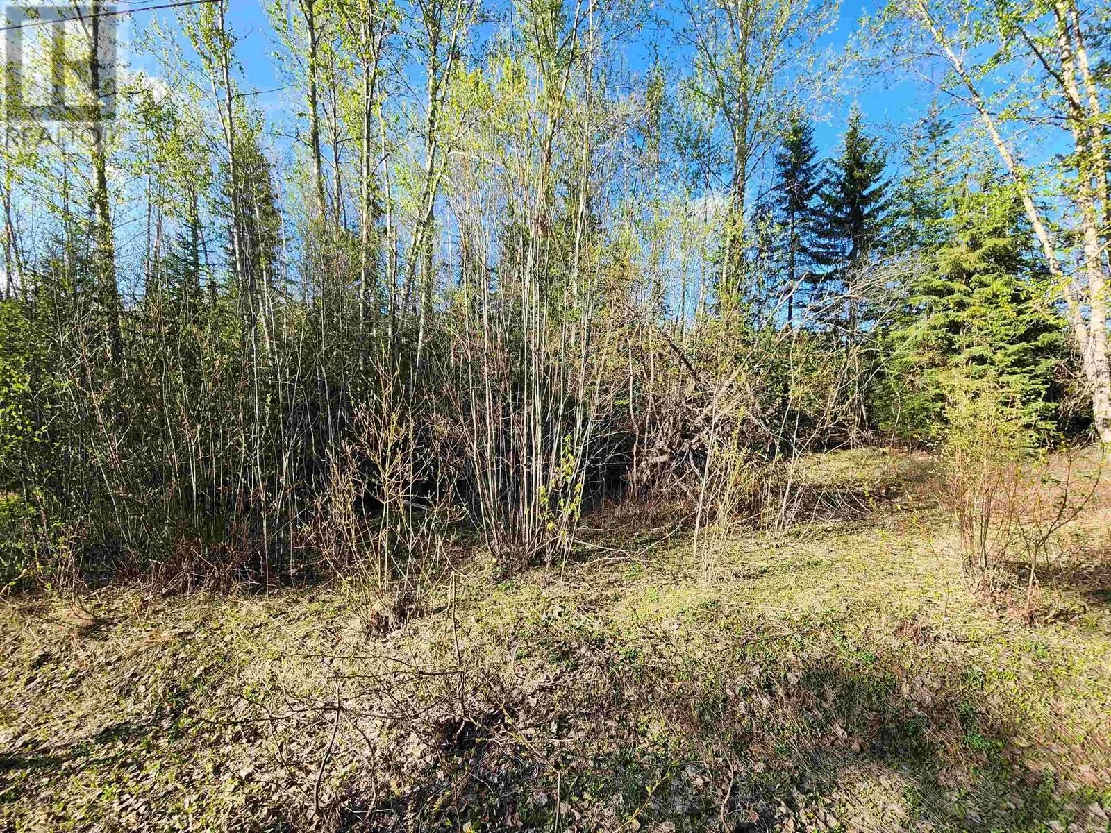 Lot 13 Meadowview Road, Prince George, British Columbia V2K 5V5