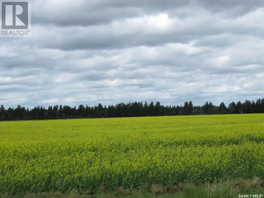 Unknown for rent: Lot 13 Parcel 3.53 Acres, Nipawin Rm No. 487, Saskatchewan S0E 1E0