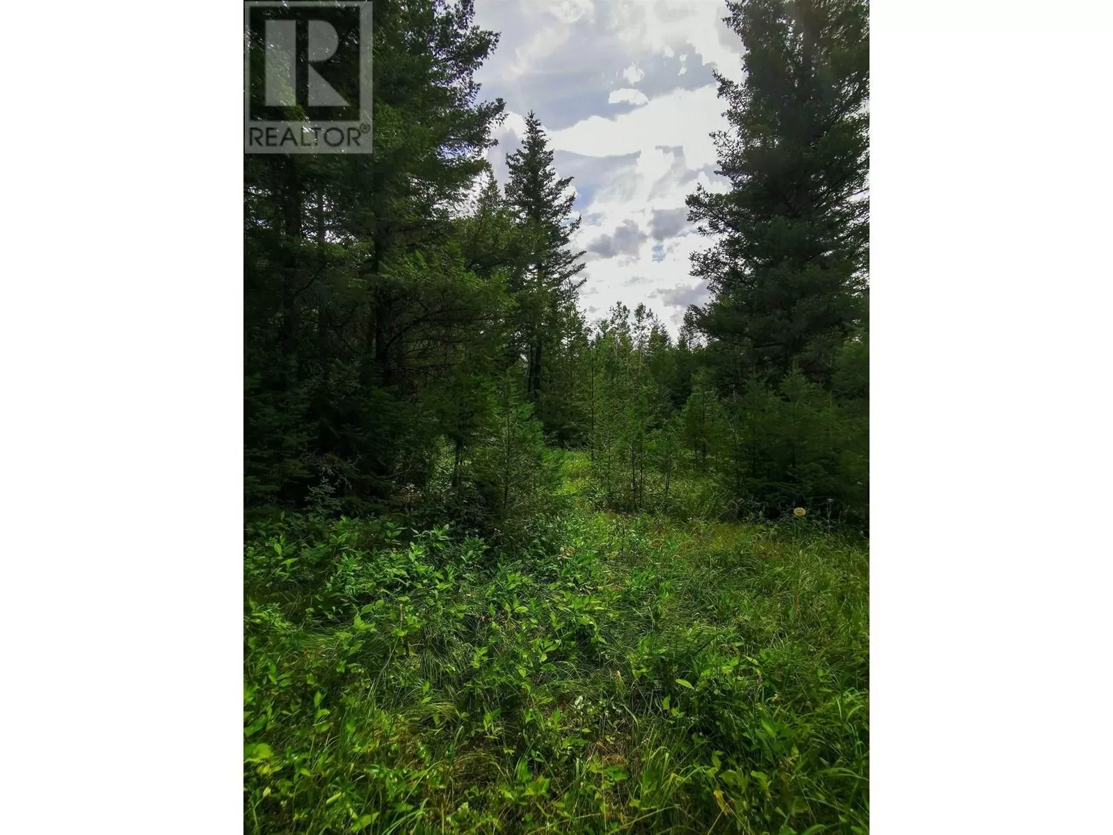Lot 14 Park Place, Lac La Hache, British Columbia V0K 1T1