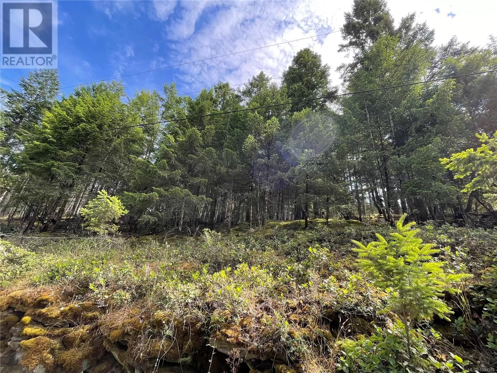 Lot 141 Coho Blvd, Mudge Island, British Columbia V1V 1V1