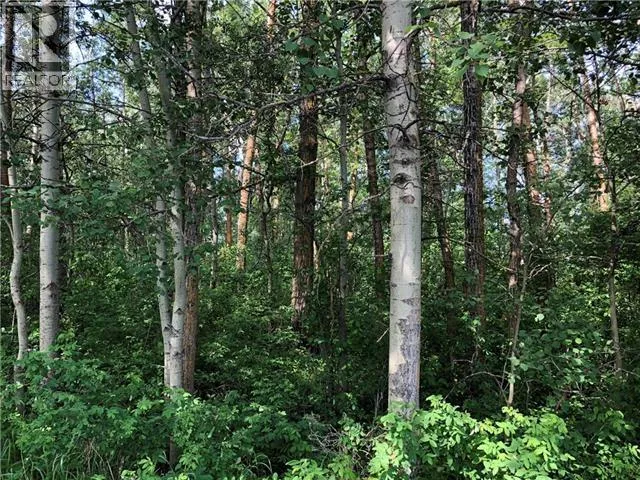 Lot 15 Campsite Road, Plamondon, Alberta T0A 2T0