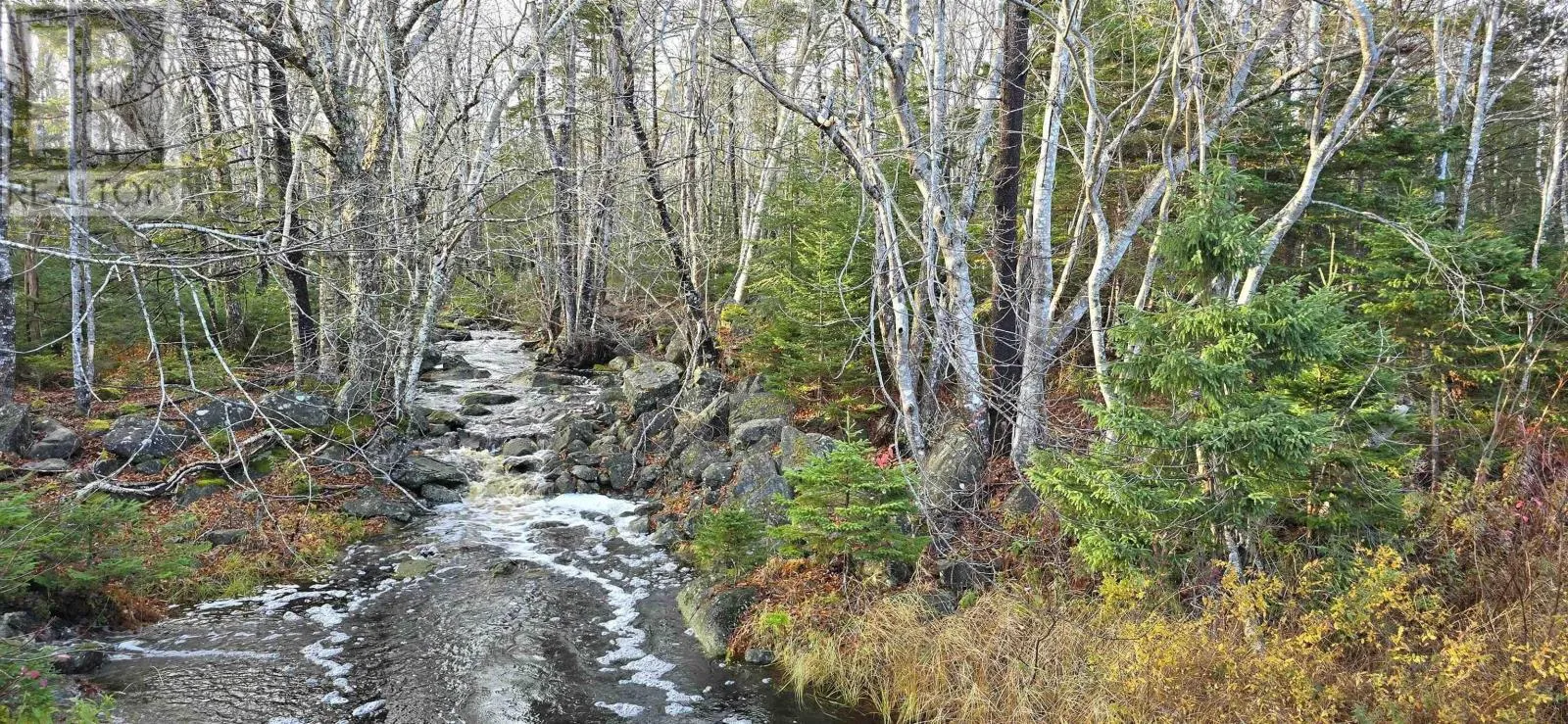 Lot 16 Eastern Shore Road, Port Medway, Nova Scotia B0J 1H0