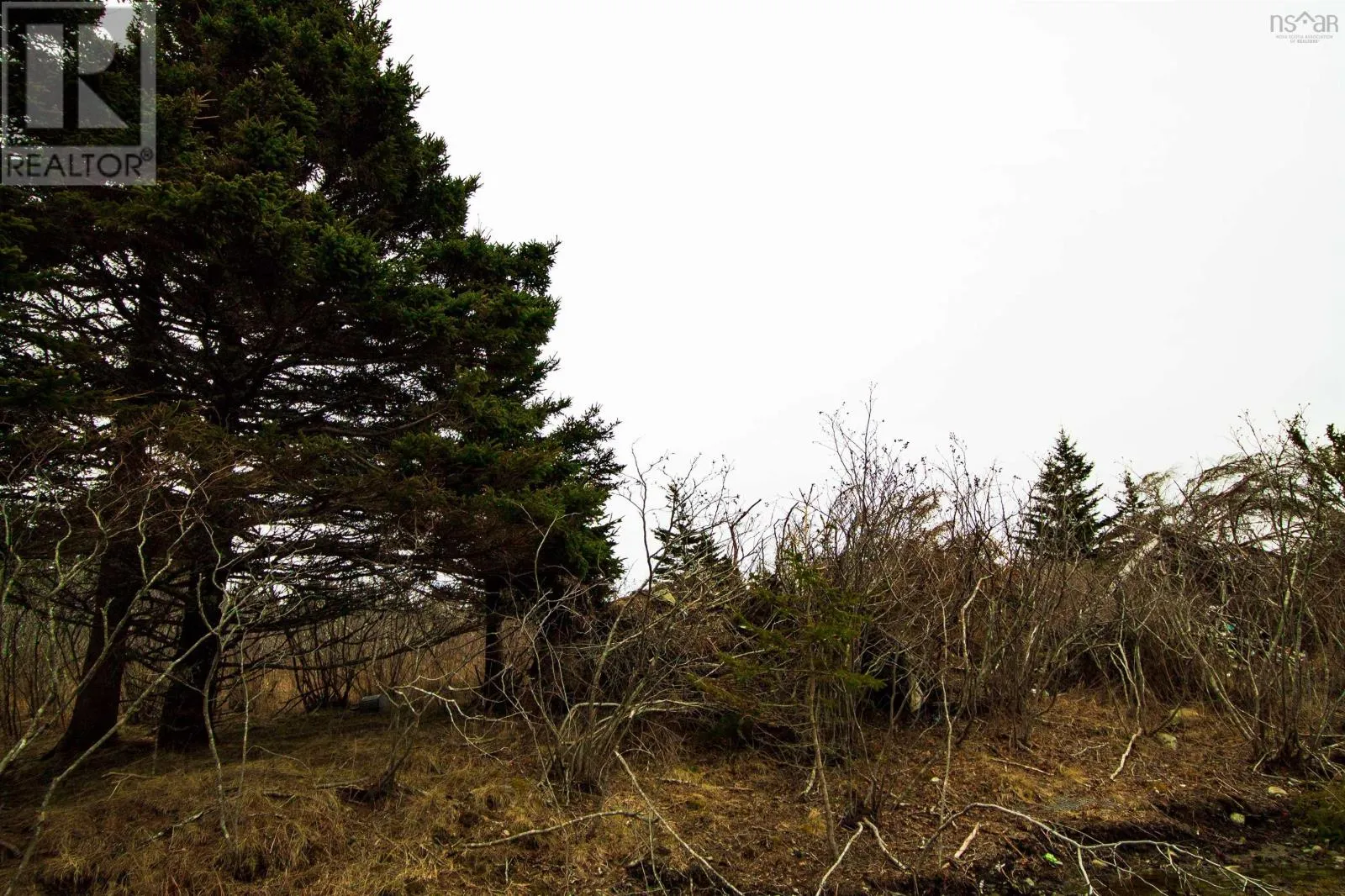 Lot 17 Quaco Road, Port Maitland, Nova Scotia B5A 5X5