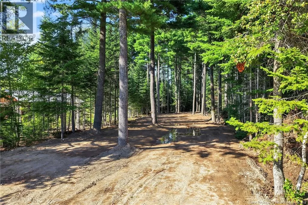 Lot 17-1 Des Pins Street, Aldouane, New Brunswick E4W 5C1