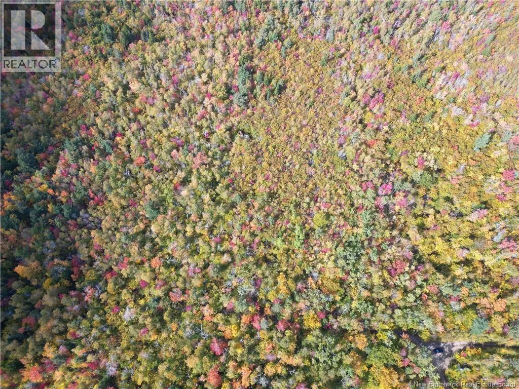 Lot 18 Green Road, Portage Vale, New Brunswick E4Z 1V5