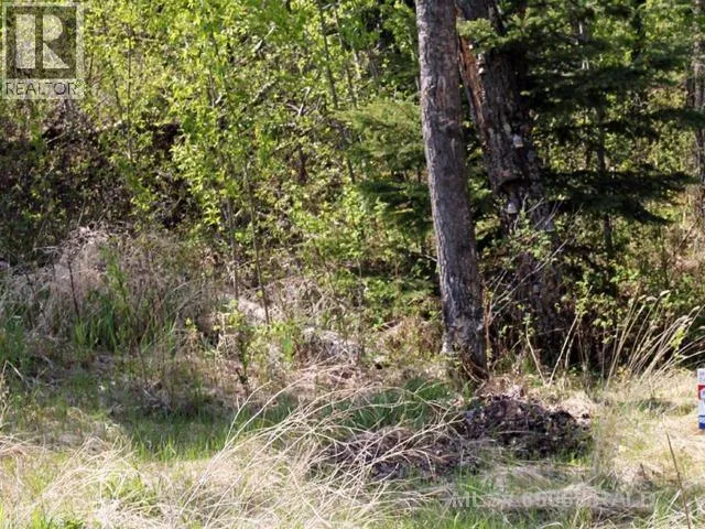 Lot 2 Blk 5 Lakeside Drive, Perch Lake, Saskatchewan S0M 2G0