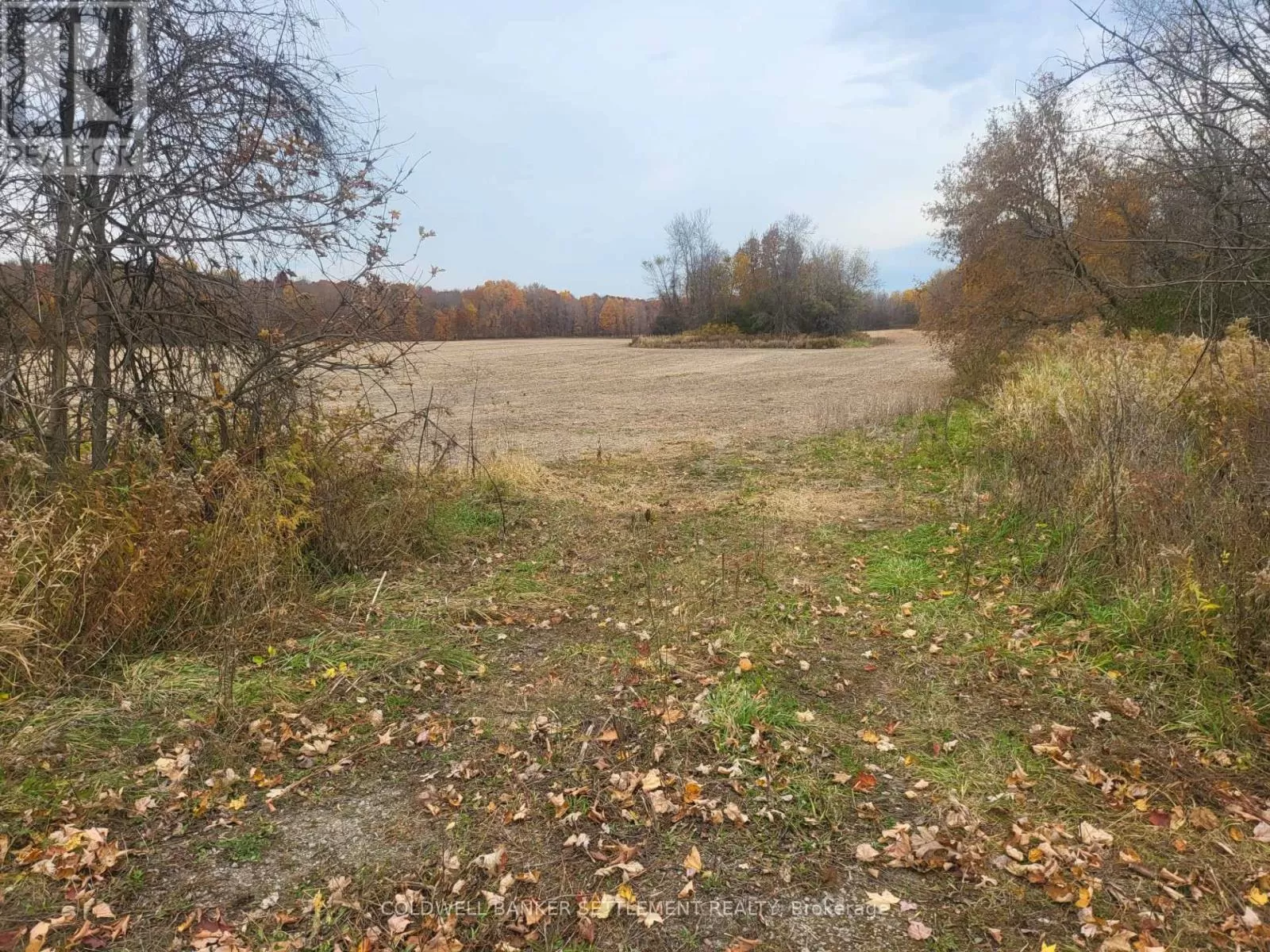 Lot 2 Bush Road, Rideau Lakes, Ontario K0G 1E0