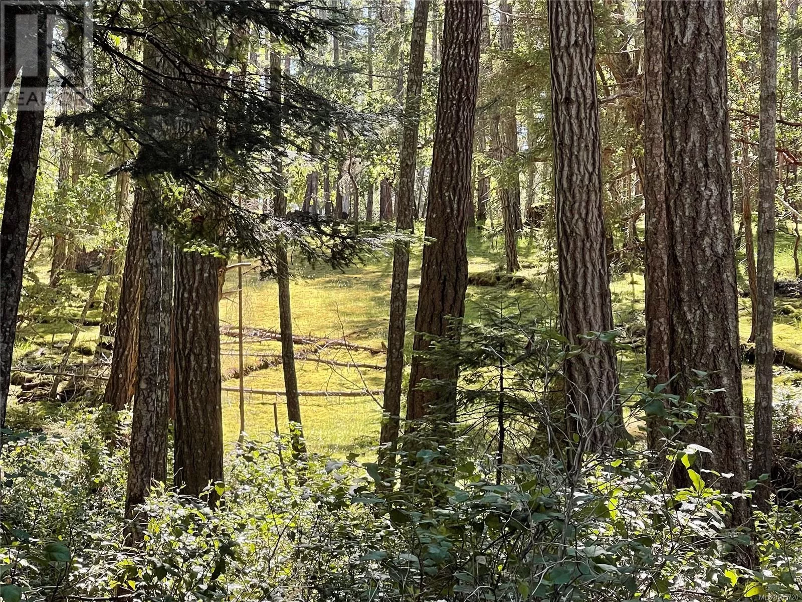 Lot 2 Driftwood Dr, Mudge Island, British Columbia V0R 1X0