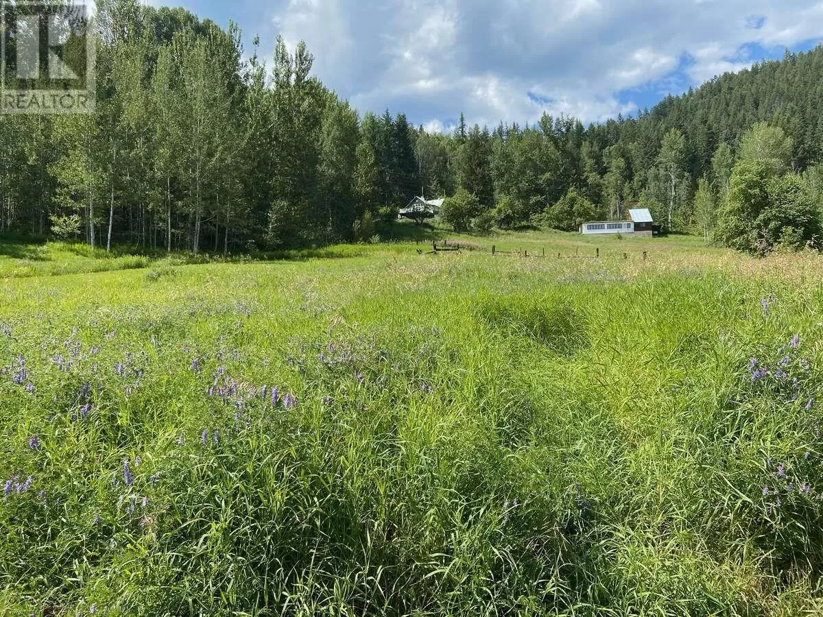 Other for rent: Lot 2 Happy Valley Road, Rossland, British Columbia V0G 1Y0