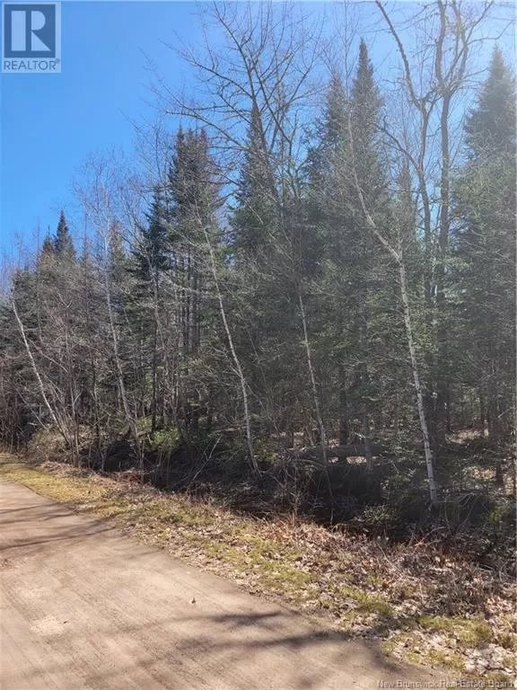 Lot  2 Hayesey Lane, Mill Cove, New Brunswick E4C 3G5
