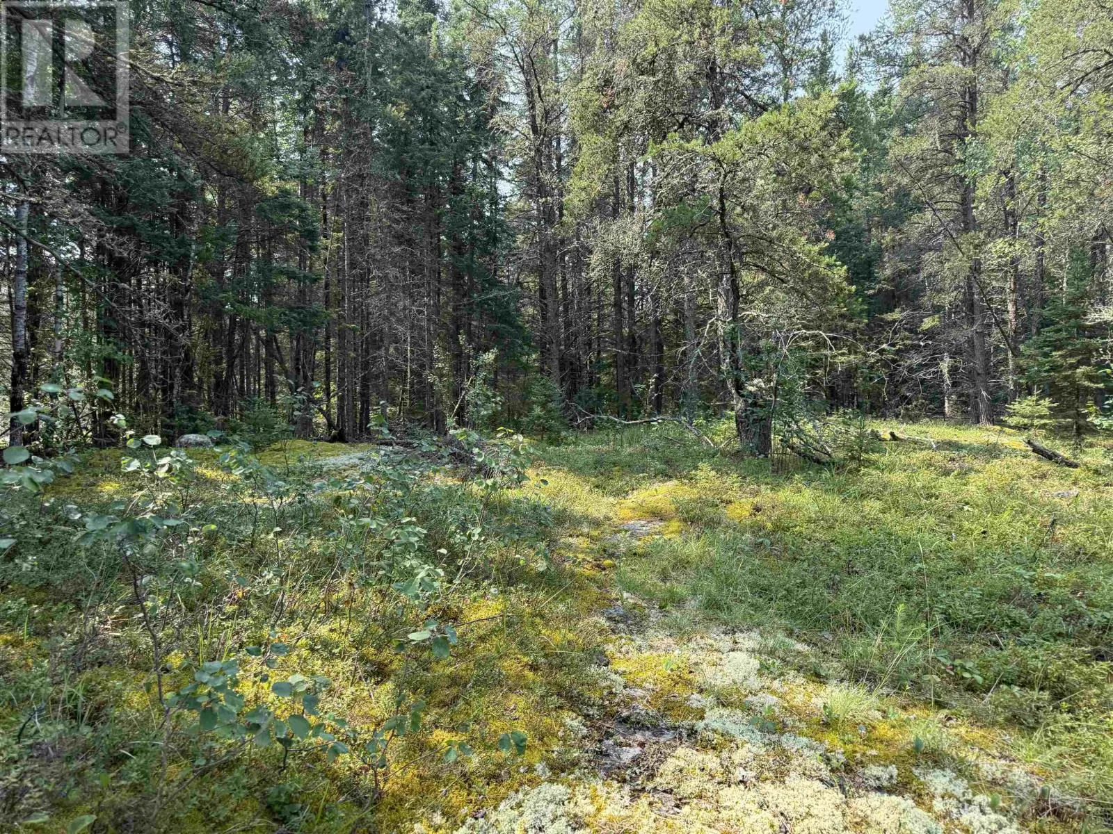 Lot 2 Kinger Road, Kenora, Ontario P9N 0E4