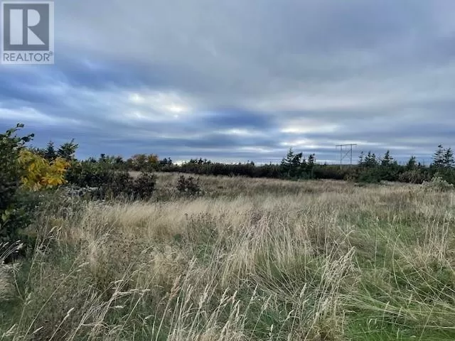 Lot 2 Mcisaac's Lane, Port Au Port East, Newfoundland & Labrador A0N 1T0