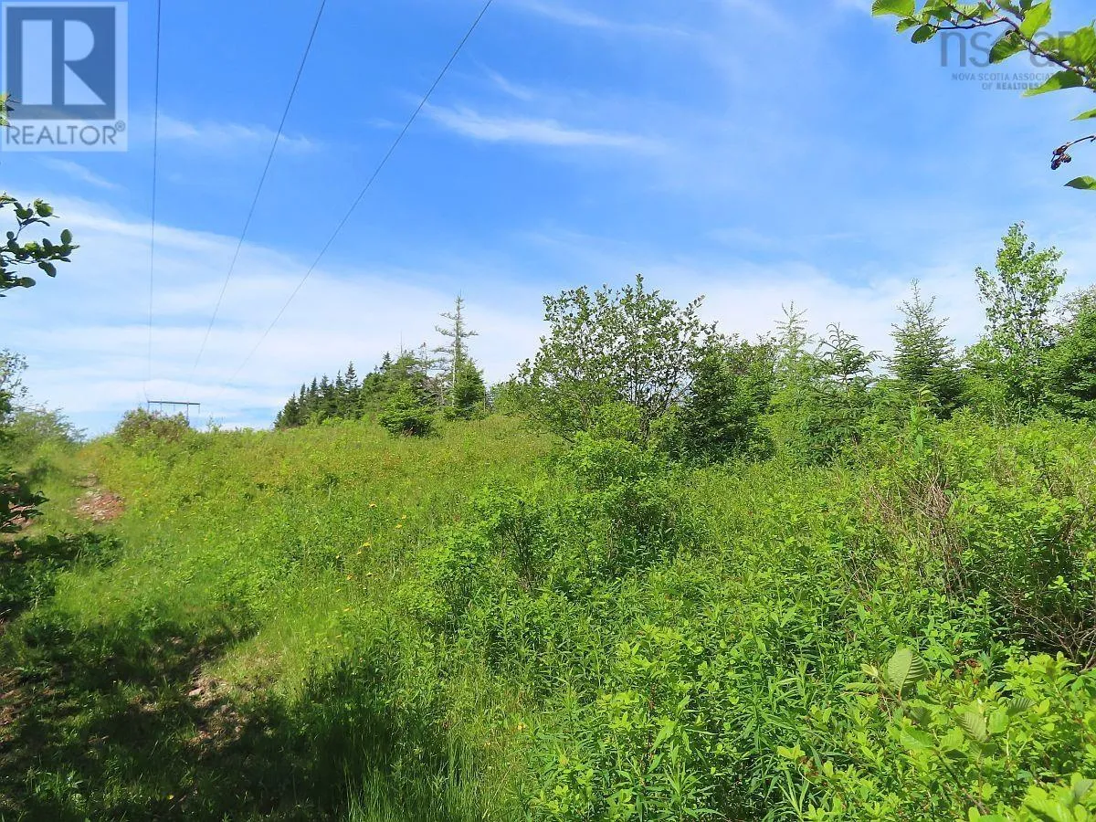 Lot 2 Old Trunk 4 Highway, Soldiers Cove, Nova Scotia B0E 3B0