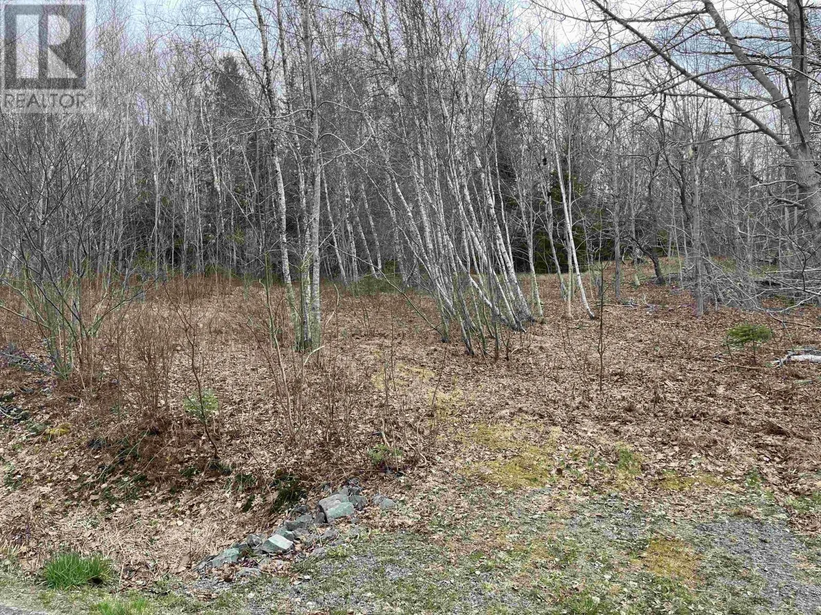 Lot 2 Sarty Road, Camperdown, Nova Scotia B4V 0X6