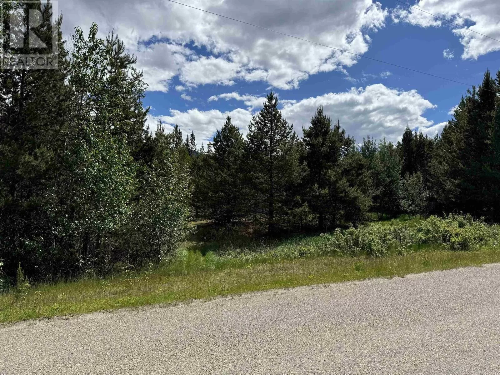 Lot 2 Starview Road, Valemount, British Columbia V0E 2Z0