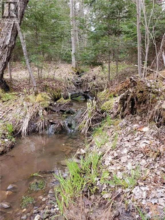 Lot 2 Thompson Road, Kierstead Mountain, New Brunswick E5P 1X3