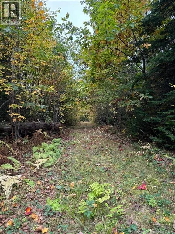 Lot 2 Wegesegum Road, Long Creek, New Brunswick E4A 2R7