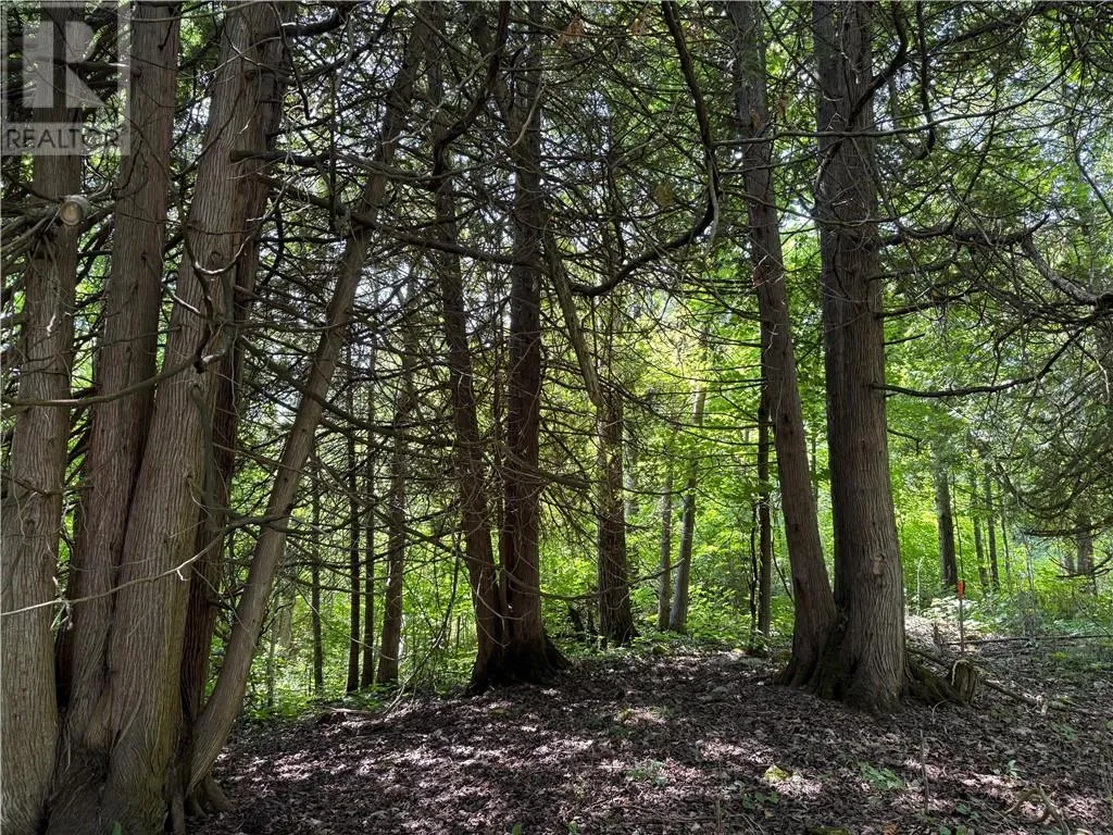 Lot 20 High Falls Road, Assiginack, Ontario P0P 1N0