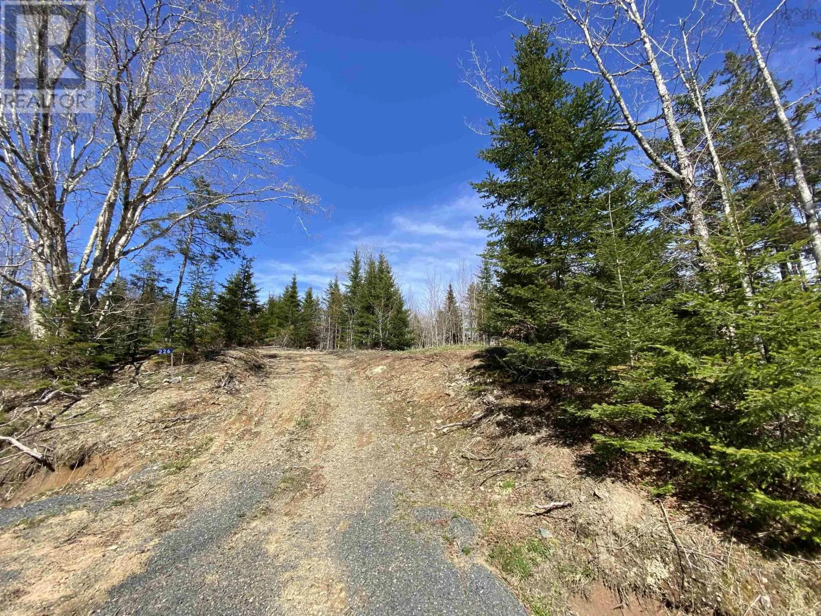 Lot 22-3 226 Brookville Branch Road, Bridgeville, Nova Scotia B2H 5C7