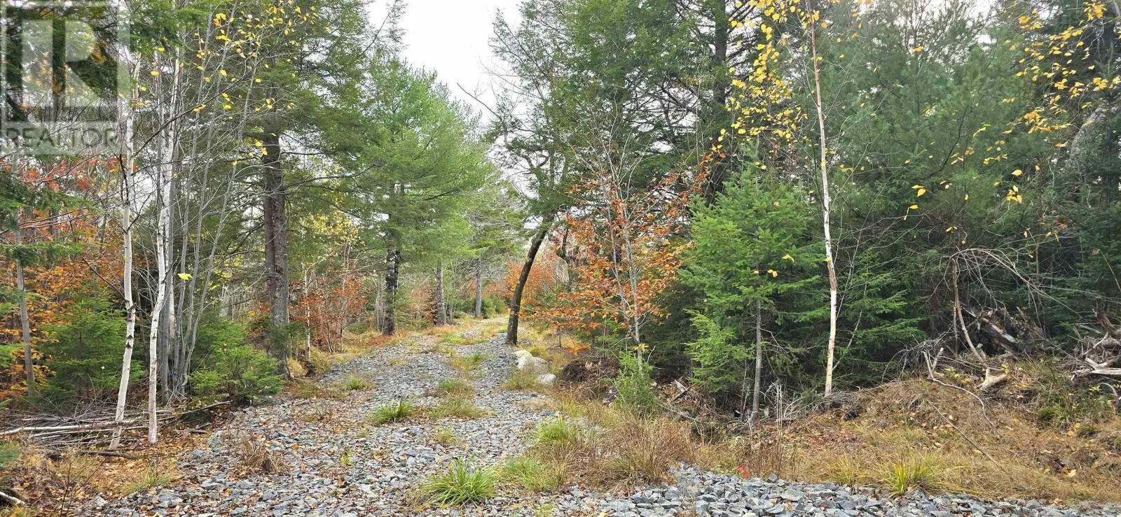 Lot 24 Russells Cove Road, Parkdale, Nova Scotia B0R 1A0