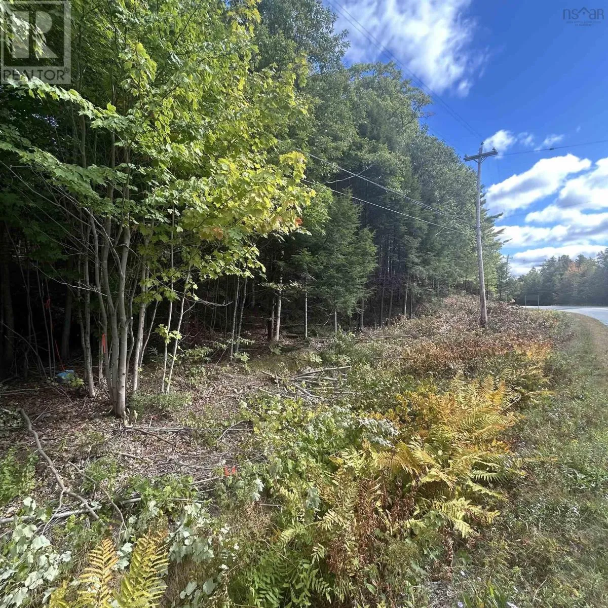 Lot 25-2 Conquerall Mills Road, Conquerall Mills, Nova Scotia B4V 7A3