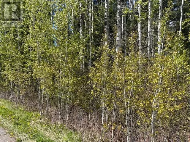 Lot 26 Boultbee Road, Bridge Lake, British Columbia V0K 1E0