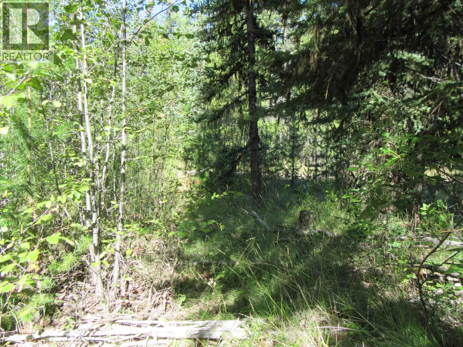 Lot 263 King Road, Deka Lake / Sulphurous / Hathaway Lakes, British Columbia V0K 1X3