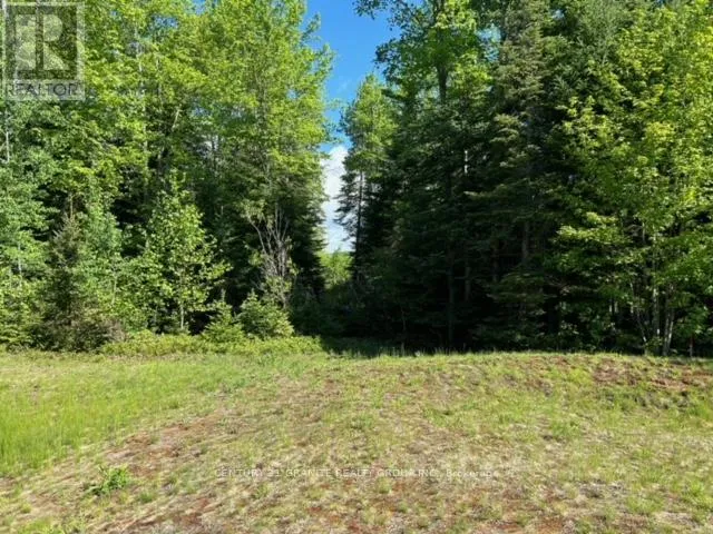 Lot 27 Bancroft Ridge Drive, Bancroft, Ontario K0L 1C0