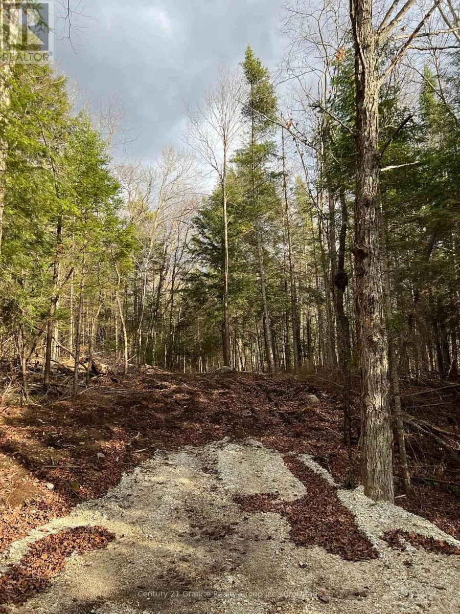 Lot 27 Bushwolf Lake Road, Dysart et al, Ontario K0M 1S0