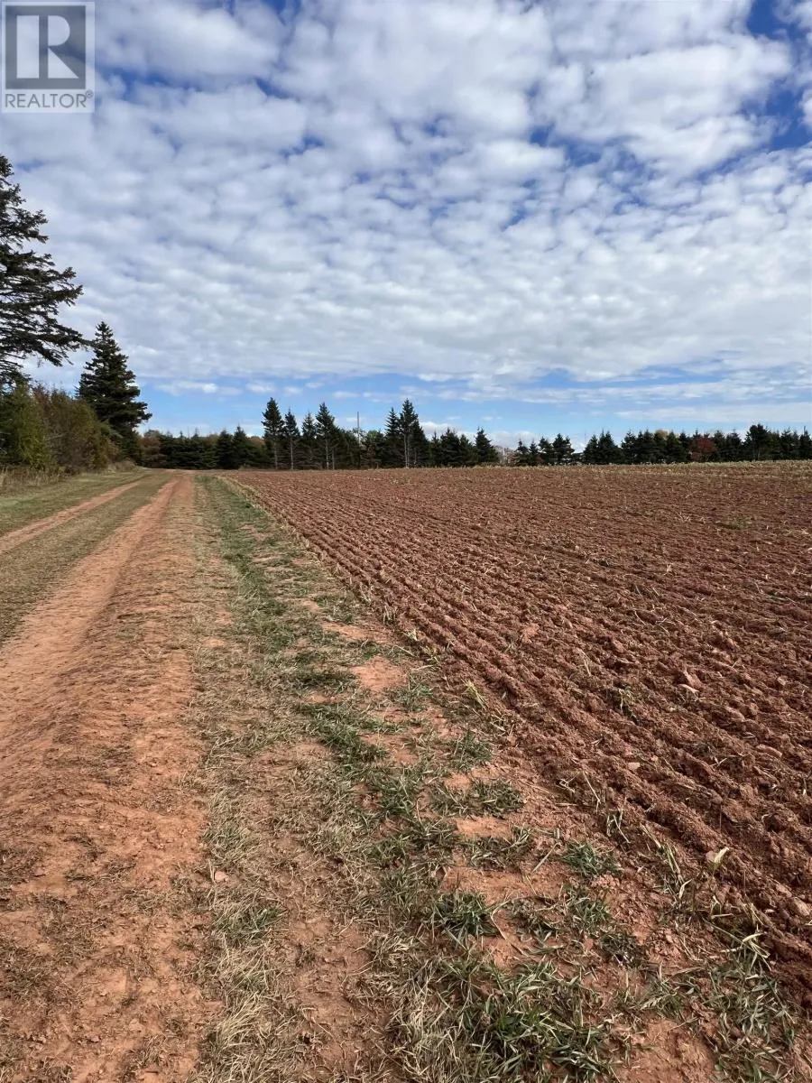 Lot 27 County Line Road, Shamrock, Prince Edward Island C0B 1N0