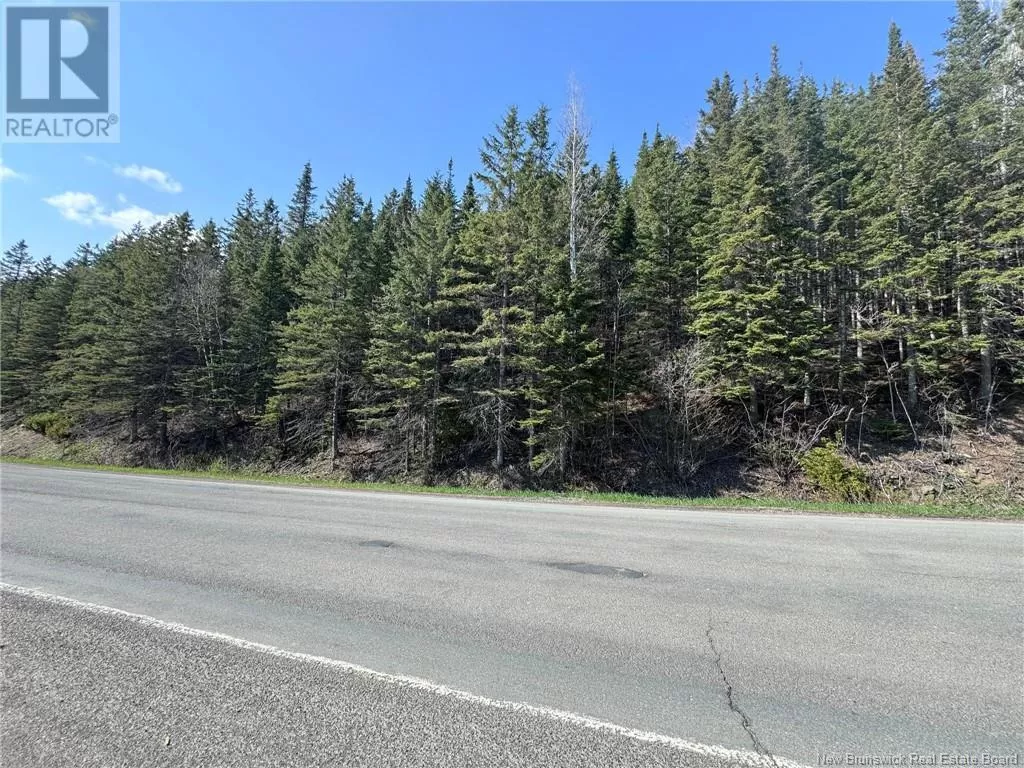 Lot 270-275 Route, Val-D'amour, New Brunswick E3N 5M7