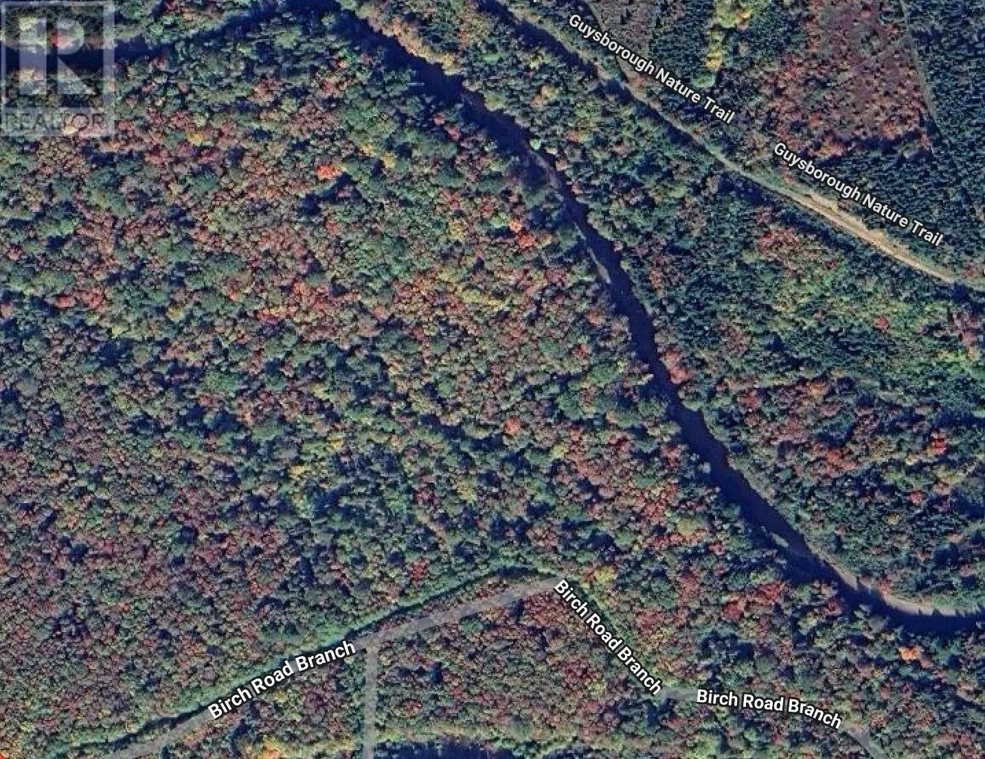 Lot 28 Birch Road Branch, Ogden, Nova Scotia B0H 1N0