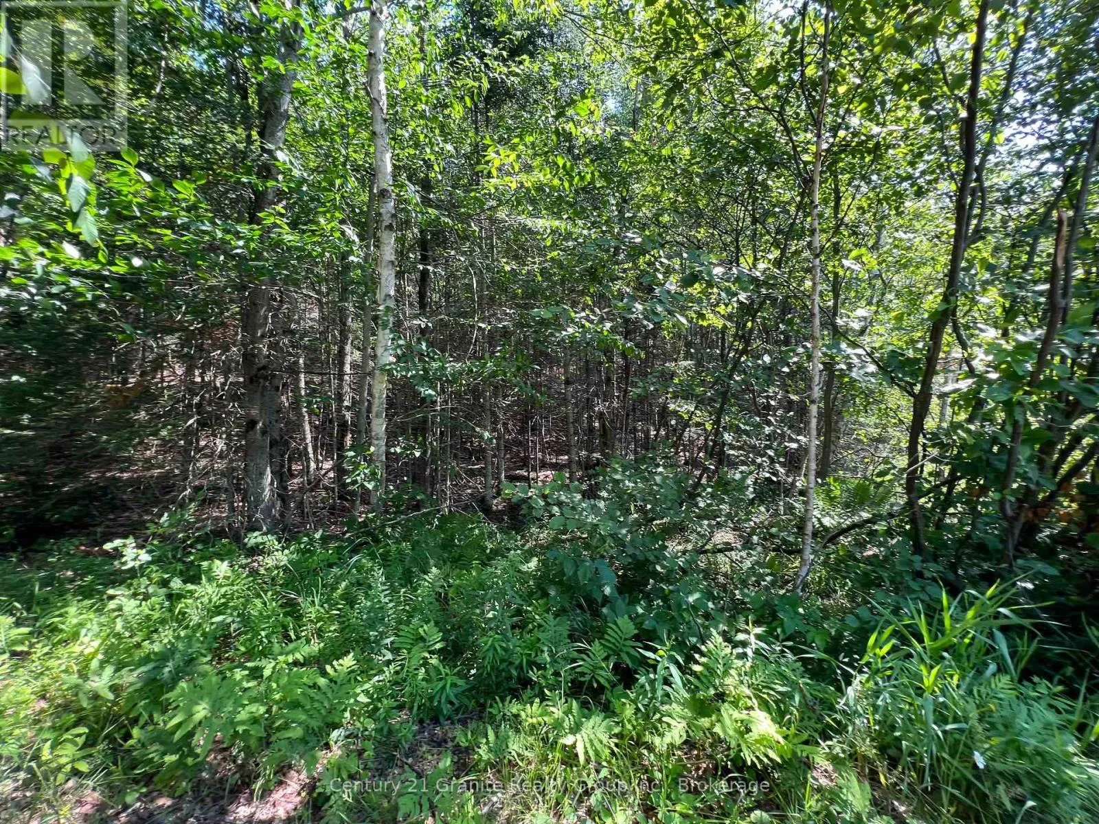 Lot 29 West Court, Dysart et al, Ontario K0M 1S0