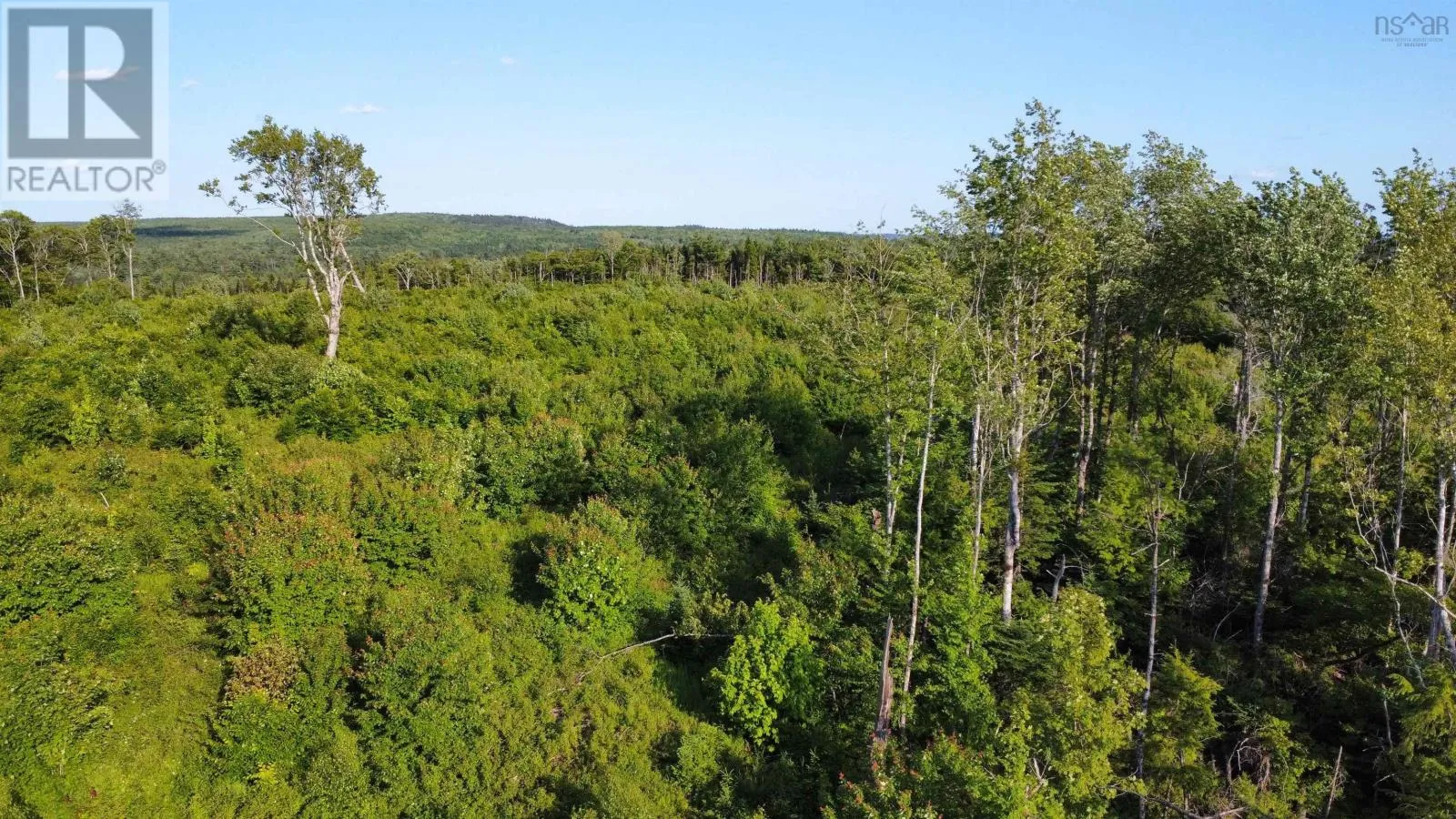 Lot 3 Albany New Road, Albany New, Nova Scotia B0T 1B0