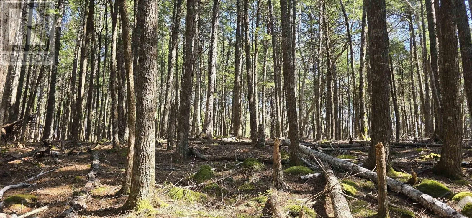 Lot 3 Beaver Row, Labelle, Nova Scotia B0T 1E0