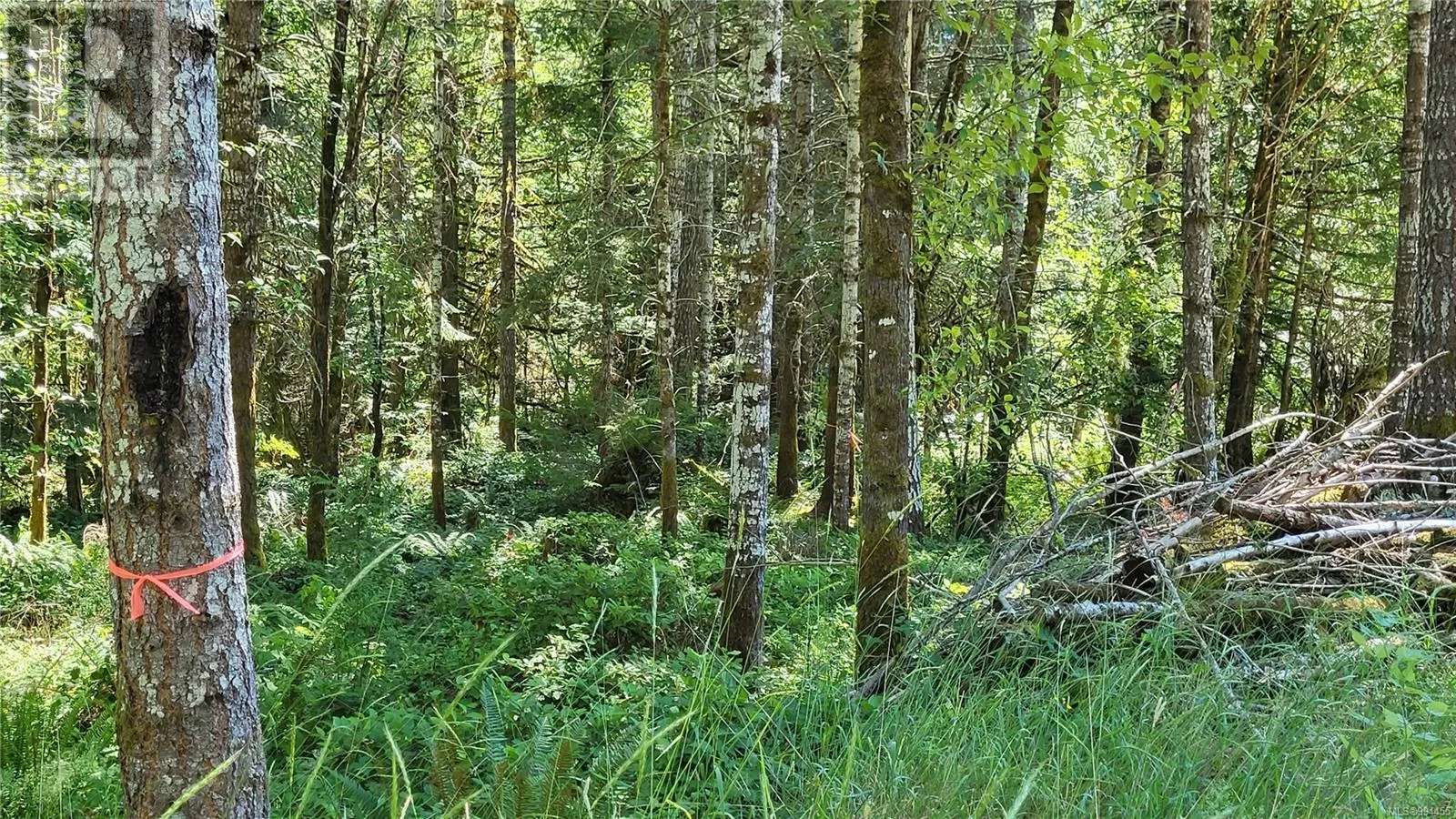 Lot 3 Cowichan Lake Rd, Duncan, British Columbia V9L 6H3